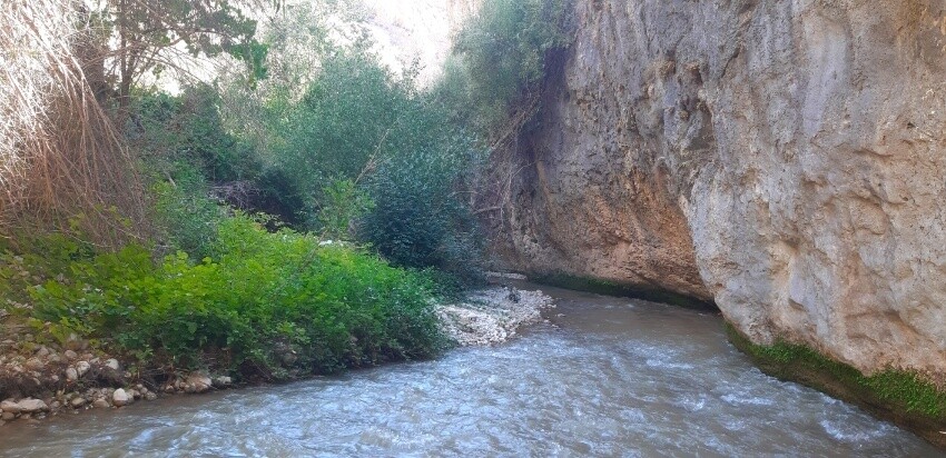 کمپ شب مانی